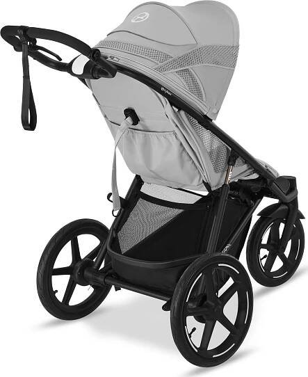 Cybex Avi Spin 2024