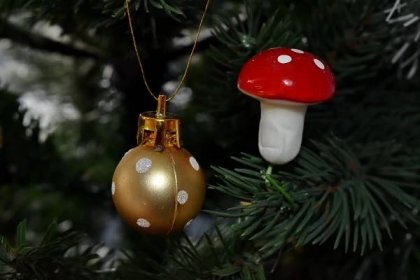 Bezplatný obrázek: vánoční strom, zlatá záře, houby, svítí, vánoční, strom, houby, předsazení, zimní, dekorace