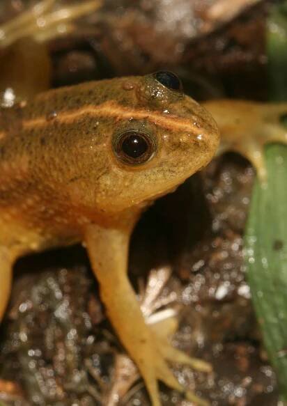 Vietnam Wildlife Watching Tour 25