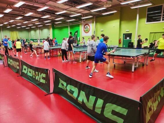Stolní tenis - okresní kolo (turnaj 6. - 9. tříd) | Základní škola Broumovská, Liberec