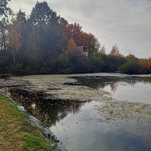 Sluňákov s družinou 29.10.2024 - ZŠ a MŠ Čelechovice na Hané