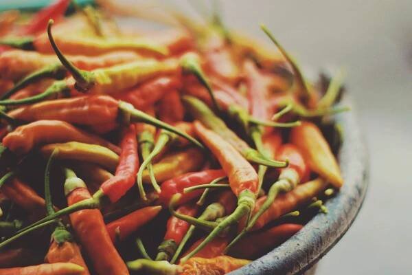 Vše, co jste chtěli vědět o chilli