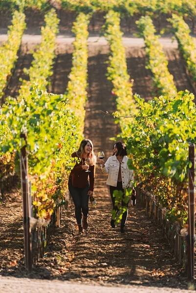 Visit the Cambria Estate Winery | Santa Barbara Wine Tastings