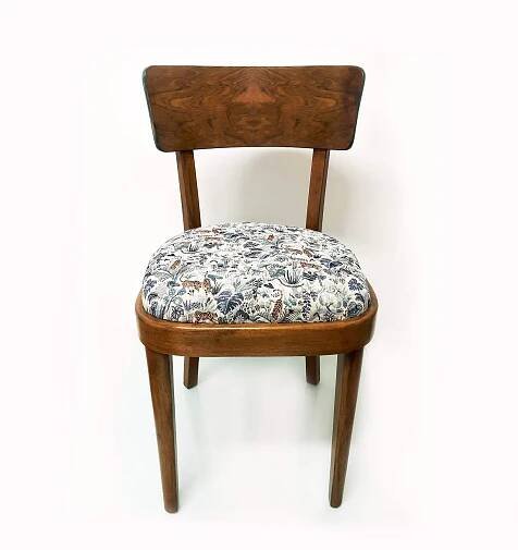 Jídelní židle Thonet, 50. léta – "Tygři" | Retro nábytek na prodej | RetroAttack