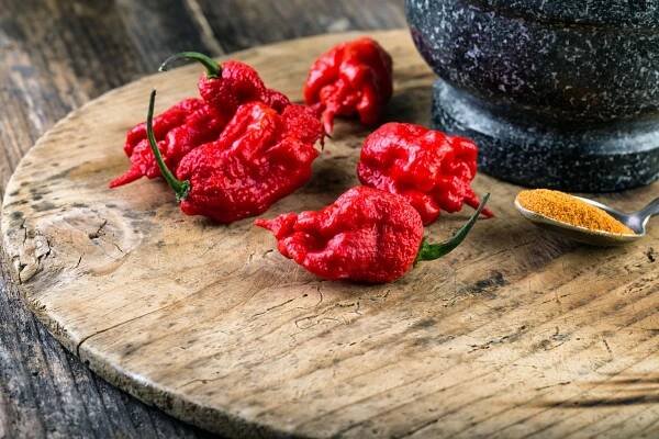 The Hottest Chilies In The World