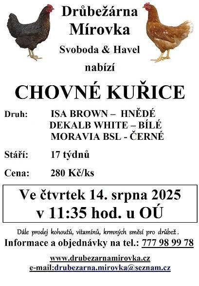 Prodej kuřic | Oudoleň.cz