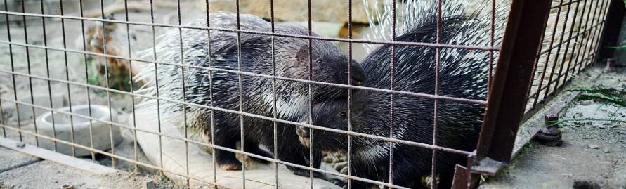Fauna park - dětský ráj, z.s - Valašské Meziříčí 