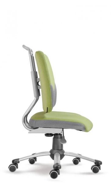 Dětská rostoucí židle Mayer ACTIKID A3 Smile 2428 53