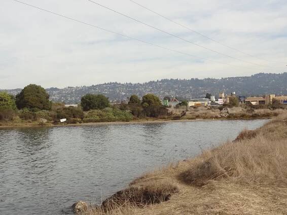 Schoolhouse Creek (Alameda County)