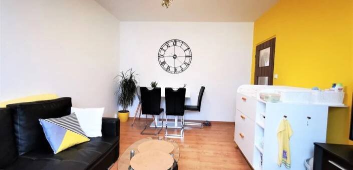 PRODÁNO-Prodej bytu 2+1 48 m² Raisova, Plzeň – Jižní Předměstí