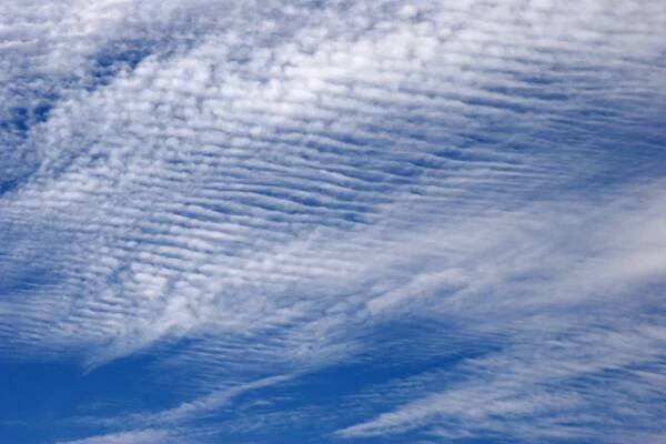Oblaky Cirrocumulus (cirokumulus, riasokopa, riasová kopa) - Povetrie