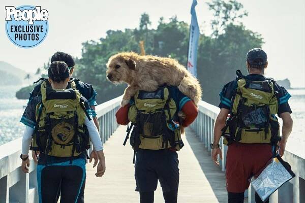 Mark Wahlberg Bonds with a Stray Dog Under Extreme Circumstances in Arthur the King Trailer (Exclusive)