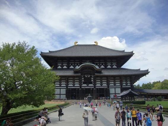 best things to do in Nara