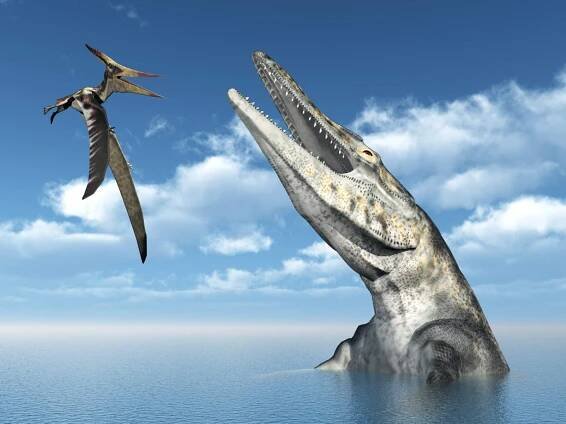 pteranodon a tylosaurus - pteranodon - stock snímky, obrázky a fotky
