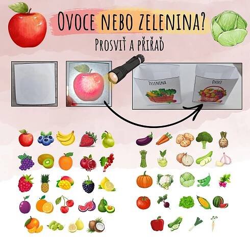 Prosviť a přiřaď - ovoce nebo zelenina? | Inspirace (nejen) do školky