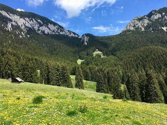 Piatra Mica, Piatra Craiului National Park, Romania – Hiked It, Liked It