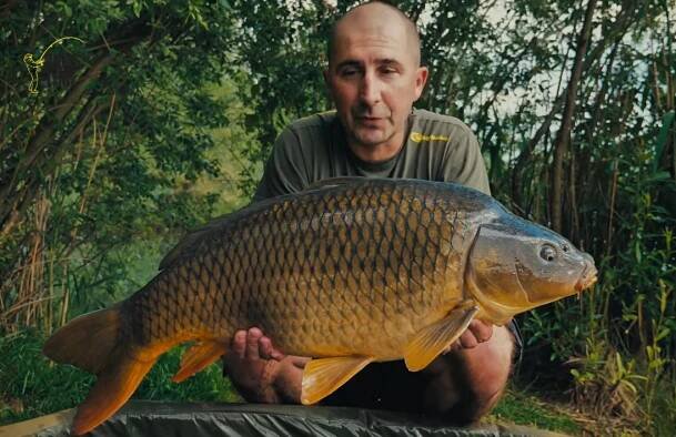 Carp Time 2019/2