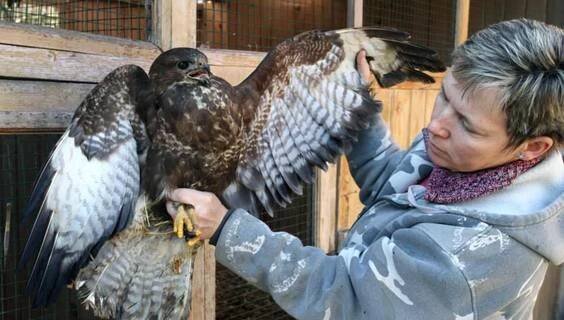 Záchranná stanice živočichů Makov | Zoologické a botanické zahrady Čížová | NaVylet.cz