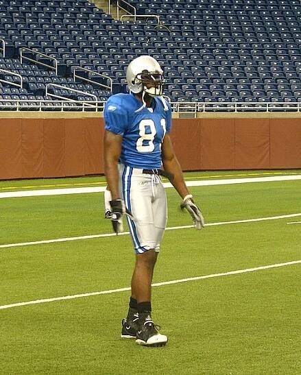Calvin Johnson - Wikipedia