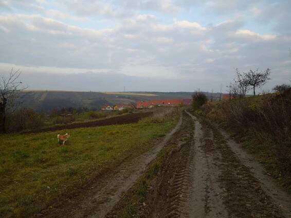 Bošovice - 13.11.2012