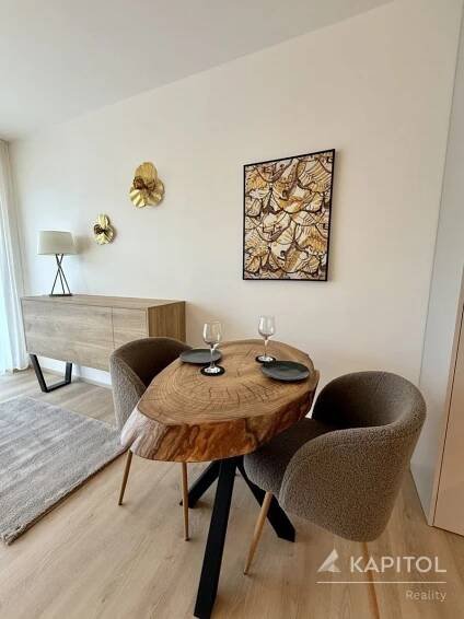 pokoj - Pronájem bytu 1+kk 30 m², Bystrcká, Brno - Komín