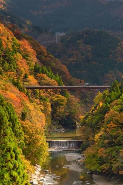 krásné podzimní listí scenérie v miyoshi city, prefektura tokušima - iya valley - stock snímky, obrázky a fotky