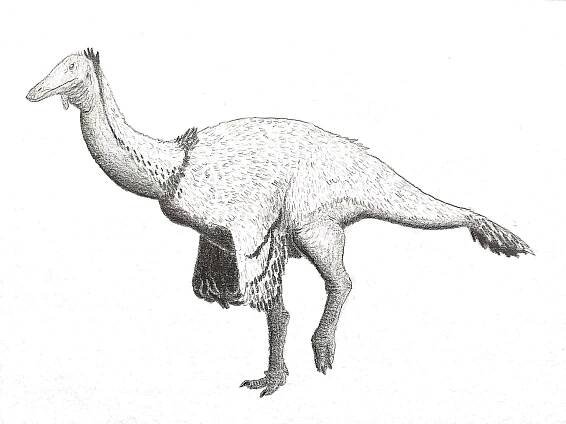 :: OSEL.CZ :: - 5 nejzajímavějších nových dinosaurů roku 2020