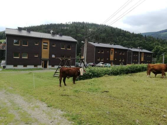 Fotky - Pohoda ve Stříbrnicích - 04.07.2017