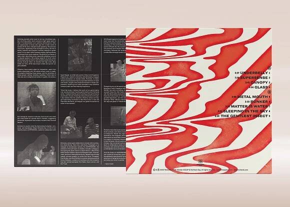 Stephanie Richards: Supersense Vinyl, LP, CD | GRAMODESKY.CZ
