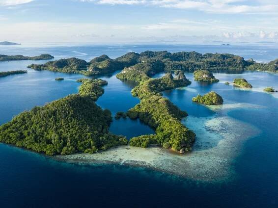 What Is the Coral Triangle?