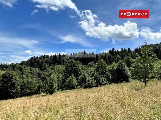 Prodej Pozemek, Valašská Bystřice, okres Vsetín