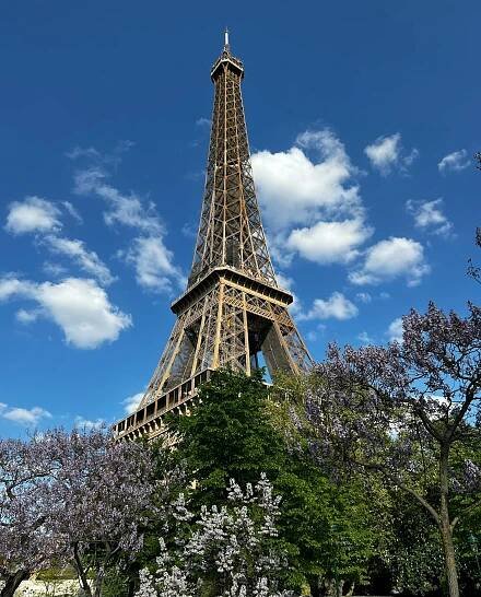 Free Stunning view of the Eiffel Tower surrounded by blossoming trees under a vibrant blue sky in springtime Paris. Stock Photo