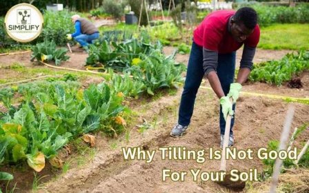 The Low Down On Why Tilling Is Not Good For Your Soil - Simplify Gardening