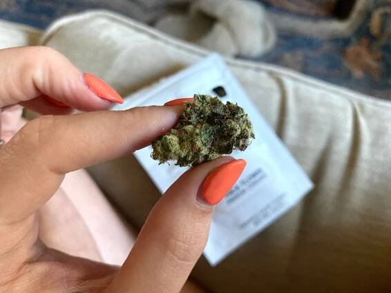 Cherry Kush THCa Flower Is Your New Favorite Excuse to Cancel Plans