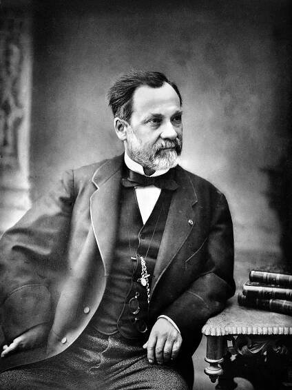 Soubor:Louis Pasteur (1822 - 1895), microbiologist and chemist Wellcome V0026978.jpg – Wikipedie