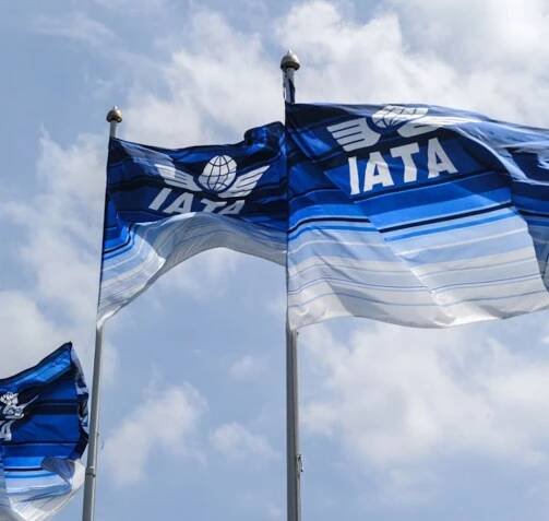 Alha at the IATA Cargo-XML workshop in Miami