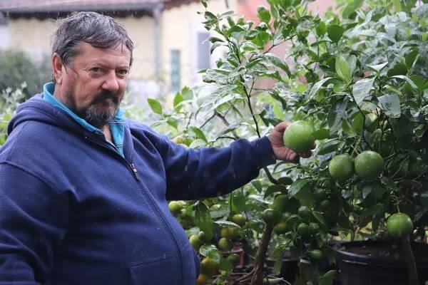 Pěstitelský úspěch penzisty z Brna: Na zahrádce mu vyrostla Budhova ruka