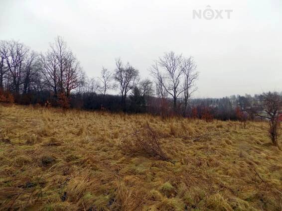 Prodej - pozemek, trvalý travní porost, 3 412 m²