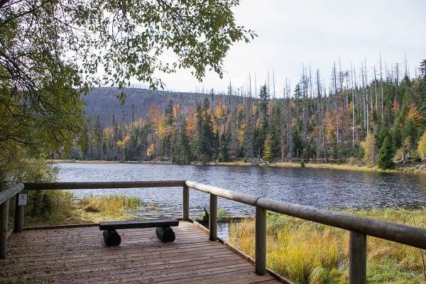 Jezero Laka – nejvýše položené a nejmenší šumavské jezero - www.dnesnivylet.cz Tip na výlet pro celou rodinu.