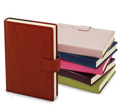 Baloušek Tisk Denní diář Ctirad s výsekem - Manager color - A5 - zelená - 2025, 14,3 × 20,5 cm