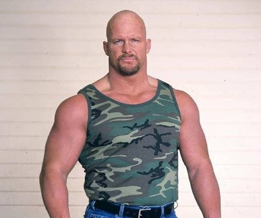Steve Austin Biography - Facts, Childhood, Family Life & Achievements