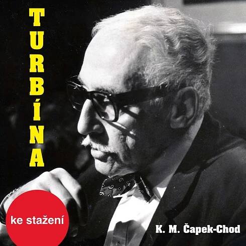 Turbína