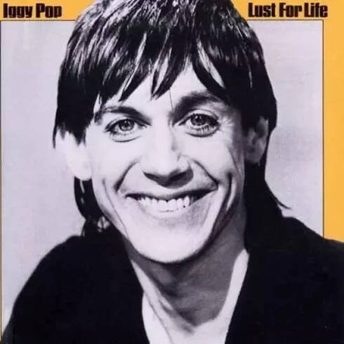 Iggy Pop: Lust For Life Vinyl, LP, CD