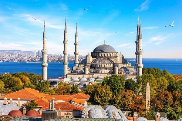 Download Traveling through the lush forests of Turkey