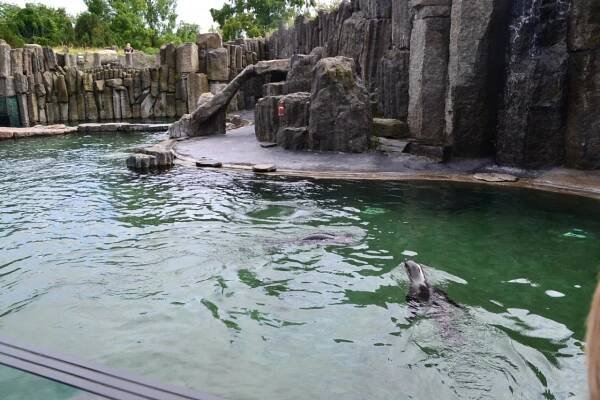 Fotogalerie - Výlet SDH Radim do ZOO Praha - Oficiální stránky obce Radim