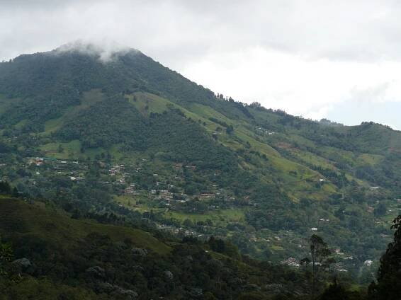 Dapa, Valle del Cauca