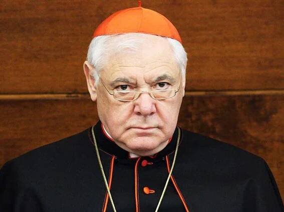Katolické noviny – Zprávy a myšlenky pro konzervativní věřící