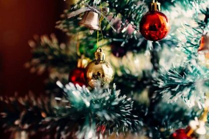 Tradice pod stromečkem: Vánoční zvyky a rodinné tradice