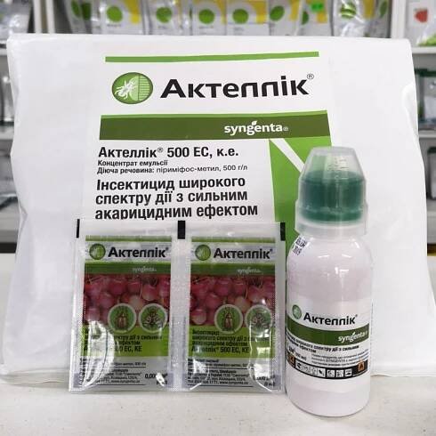 Actellic - návod k použití insekticidu a tajemství jeho použití