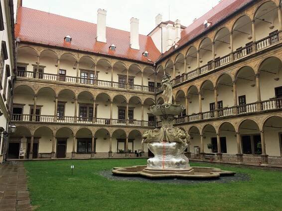 Obrázek